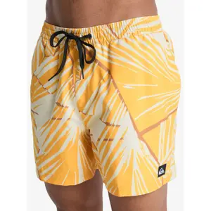 Board shorts Quiksilver Everyday Printed Volley 15 image-2
