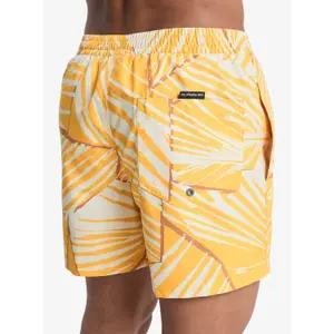Board shorts Quiksilver Everyday Printed Volley 15 image-6