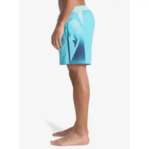 Board shorts Quiksilver Everyday Holmes Volley 16 image-4