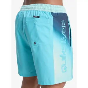 Board shorts Quiksilver Everyday Holmes Volley 16 image-6