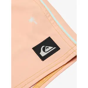 Pantalones cortos de surf Quiksilver Stretch Printed image-6