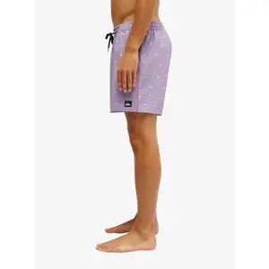Pantalones cortos de surf Quiksilver Stretch Printed image-4