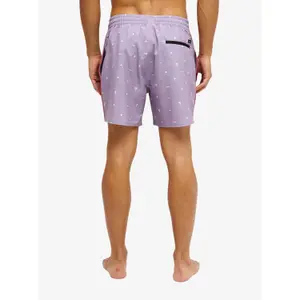 Pantalones cortos de surf Quiksilver Stretch Printed image-5