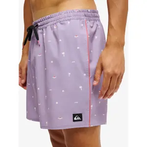 Pantalones cortos de surf Quiksilver Stretch Printed image-3