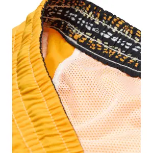 Board shorts Quiksilver BM Scallop Volley image-5