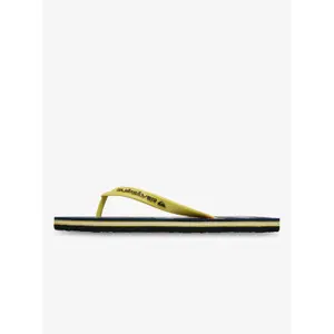 Σαμπό Quiksilver Molokai Stripe image-2