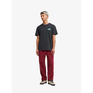 Regular Trousers Quiksilver Taxer Cord image-2