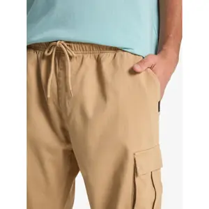 Regular Cargo Trousers Quiksilver Taxer image-5