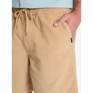 Short Quiksilver Taxer Cord image-5