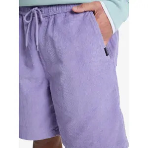 Short Quiksilver Taxer Cord image-4