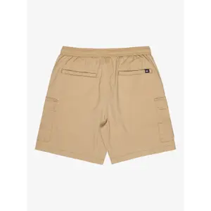 Shorts cargo Quiksilver Taxer image-3