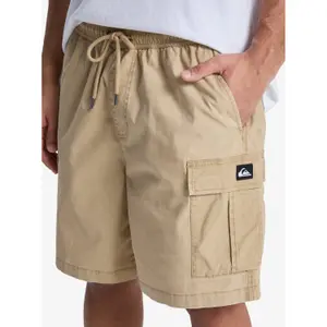 Shorts cargo Quiksilver Taxer image-5