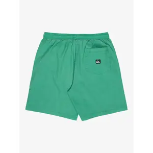 Μικρό Quiksilver Taxer image-3