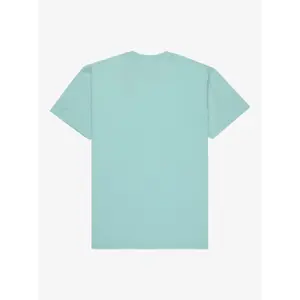 T-shirt Quiksilver EV Mini Logo image-4
