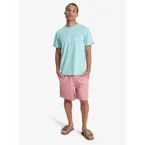 T-shirt Quiksilver EV Mini Logo image-1