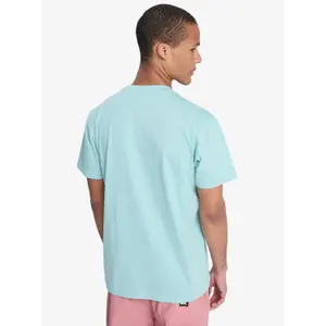 T-shirt Quiksilver EV Mini Logo image-5