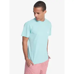 T-shirt Quiksilver EV Mini Logo image-3