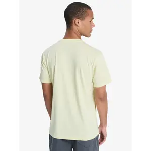 T-shirt Quiksilver EV Mini Logo image-5