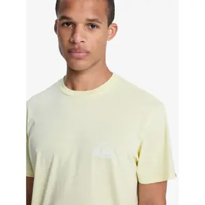 T-shirt Quiksilver EV Mini Logo image-6