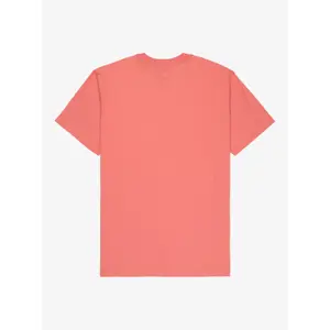 T-shirt Quiksilver EV Mini Logo image-4
