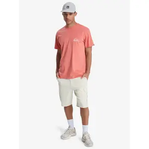 T-shirt Quiksilver EV Mini Logo image-1
