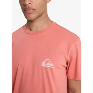T-shirt Quiksilver EV Mini Logo image-6