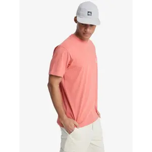 T-shirt Quiksilver EV Mini Logo image-3