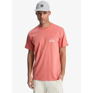 T-shirt Quiksilver EV Mini Logo image-2