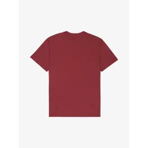 T-shirt Quiksilver EV Mini Logo image-4