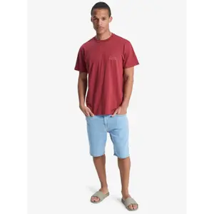 T-shirt Quiksilver EV Mini Logo image-3