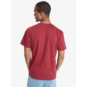 T-shirt Quiksilver EV Mini Logo image-5