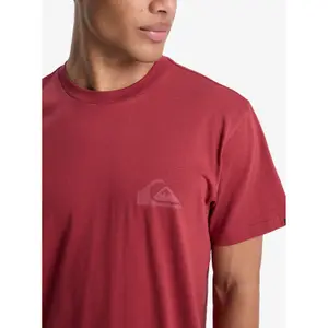 T-shirt Quiksilver EV Mini Logo image-6