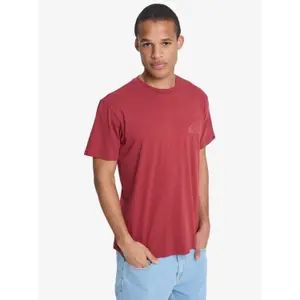 T-shirt Quiksilver EV Mini Logo image-2