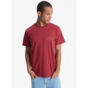 T-shirt Quiksilver EV Mini Logo image-1