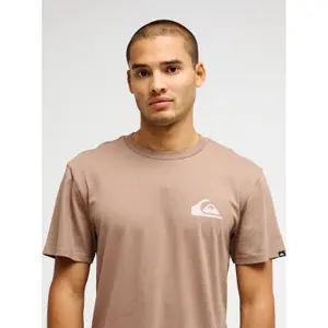 T-shirt Quiksilver EV Mini Logo image-5