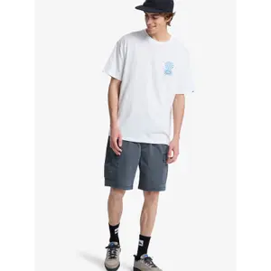T-shirt Quiksilver Evo Blossom Of Peace image-2