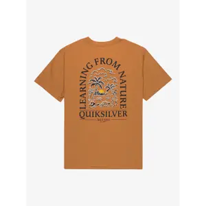 T-shirt Quiksilver Evo Learning From Nature image-4