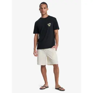 T-shirt Quiksilver Evo Learning From Nature image-2