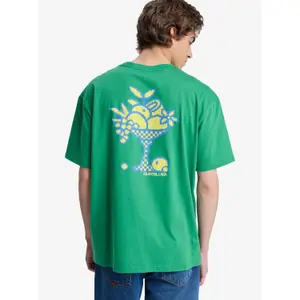 T-shirt Quiksilver EV Glass Of Spring image-5