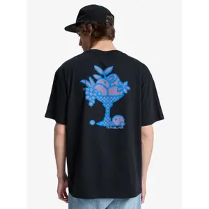 T-shirt Quiksilver EV Glass Of Spring image-5