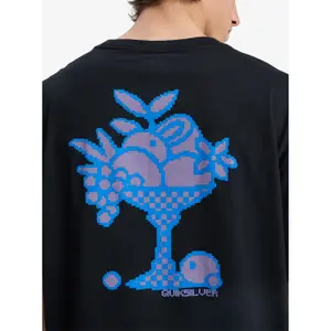 T-shirt Quiksilver EV Glass Of Spring image-6