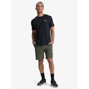 T-shirt Quiksilver Caecilian image-2