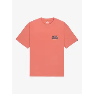 T-shirt Quiksilver Fruits Tide image-0