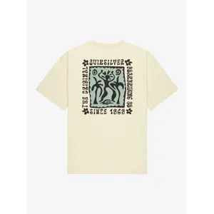 T-shirt Quiksilver Serenity Splash image-5