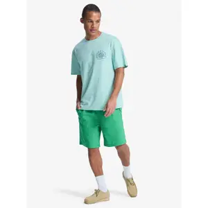 T-shirt Quiksilver Curve Palm image-2