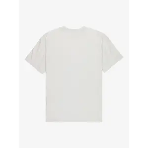 T-shirt Quiksilver EV Wild Worlds image-3