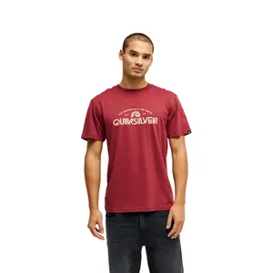 T-shirt Quiksilver Ev Vista image-1