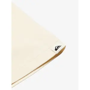 T-shirt Quiksilver Ev Vista image-6