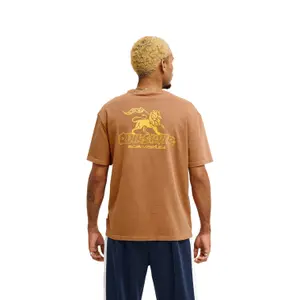 T-shirt Quiksilver BM Zion image-5