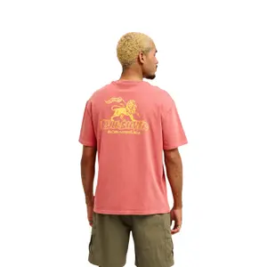 T-shirt Quiksilver BM Zion image-5